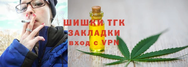 гашик Дмитриев