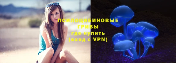 прущие крисы Дмитров