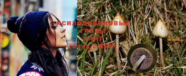 гашик Дмитриев