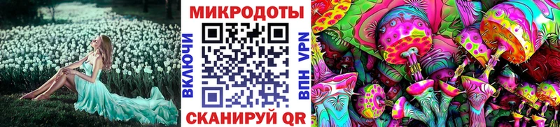 Купить где  Комсомольск  Галлюциногенные грибы Magic Shrooms 